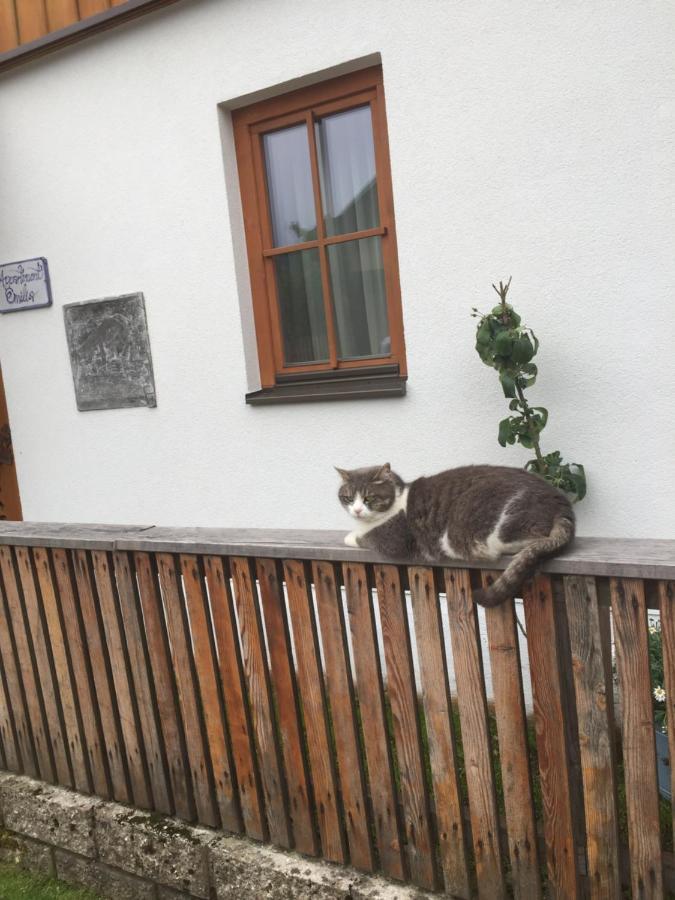 Appartement Emilia Hallstatt Exterior photo