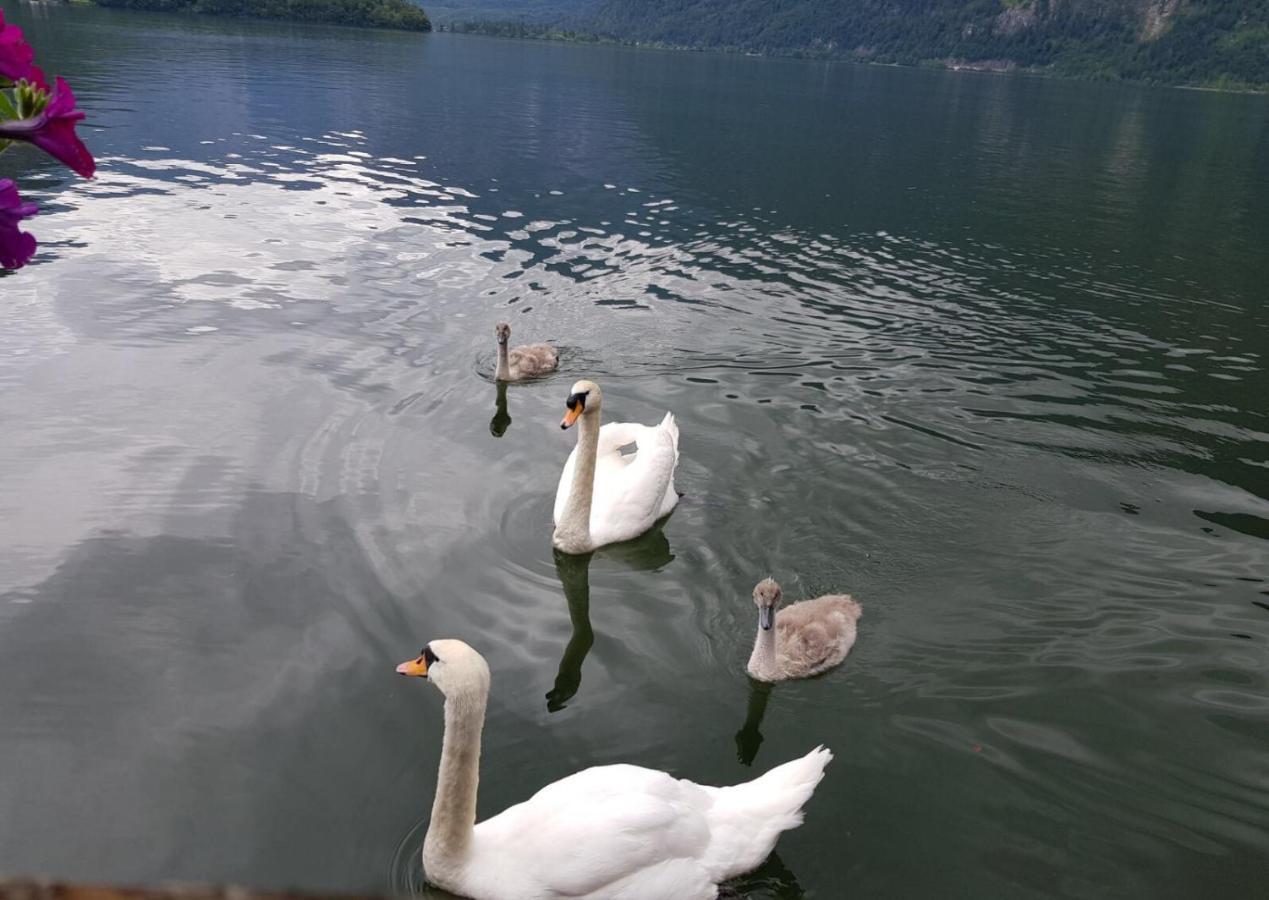 Appartement Emilia Hallstatt Exterior photo
